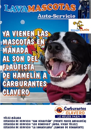 Clavero Lavamascotas vertical