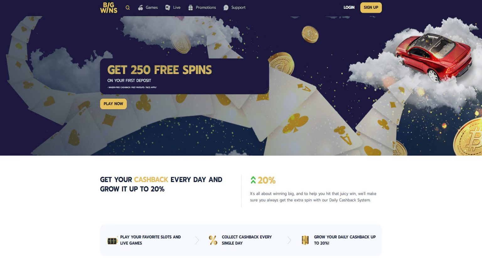 Bigwin Gambling Establishment Review Bigwin Gambling Establishment Review