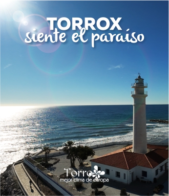 Torrox Vertical