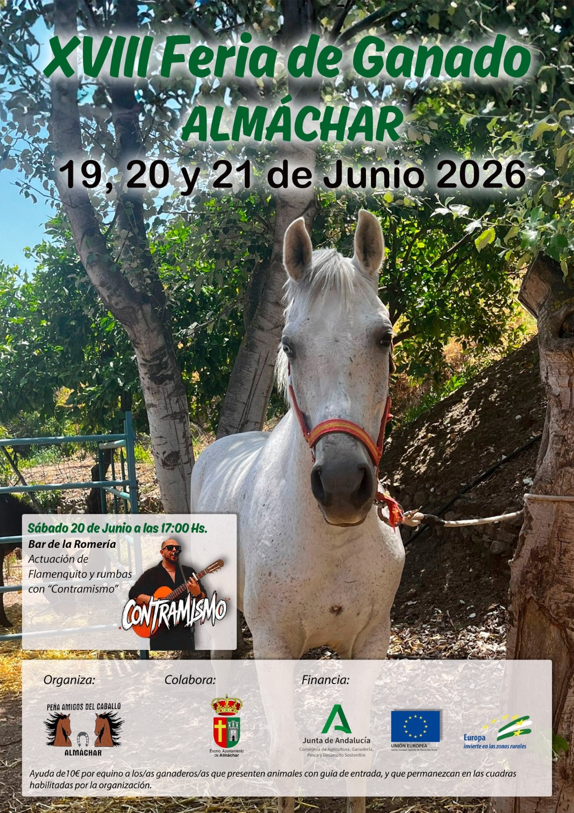 Feria de ganado Almachar - 21 jun