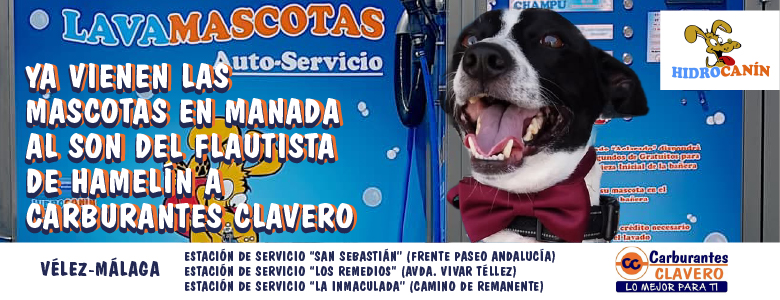 Clavero Lavamascotas horizontal